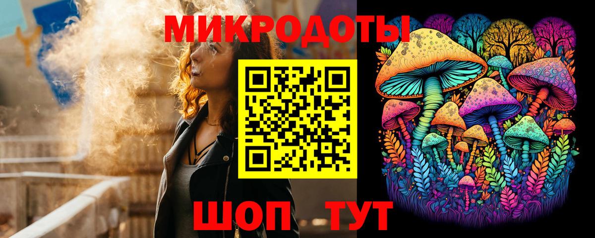 Псилоцибиновые грибы Psilocybe  Вход с VPN  Псилоцибиновые грибы мицелий  Самара 